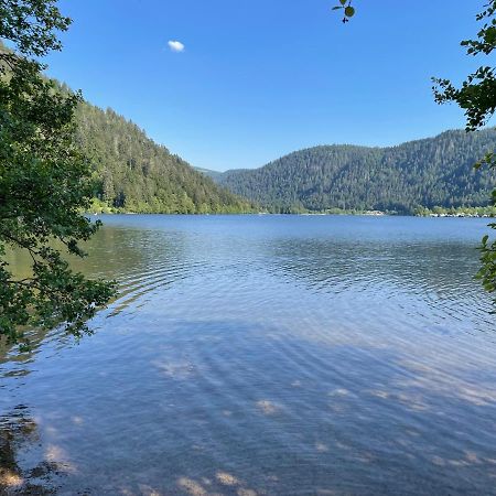 Le Chalet Blanc De Gerardmer Avec Spa Exterior photo