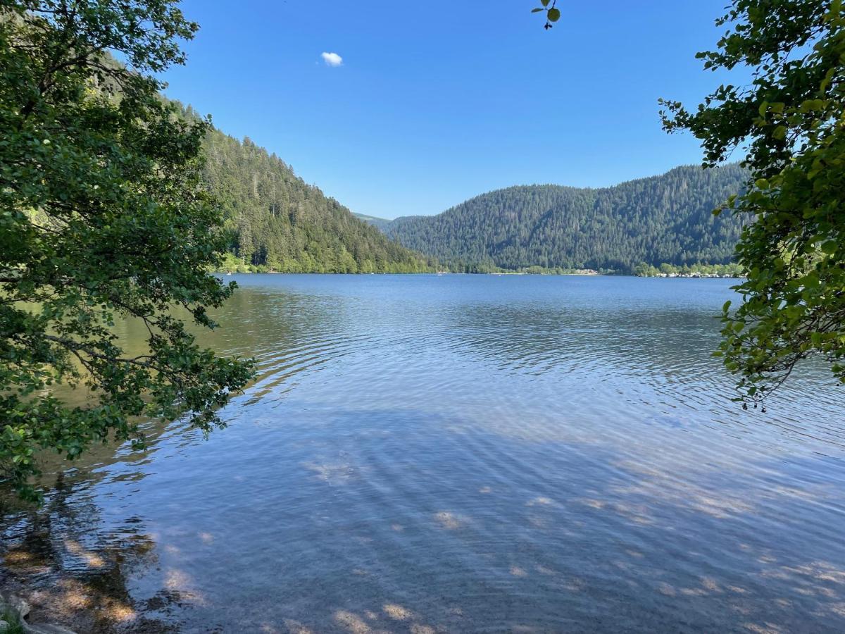Le Chalet Blanc De Gerardmer Avec Spa Exterior photo
